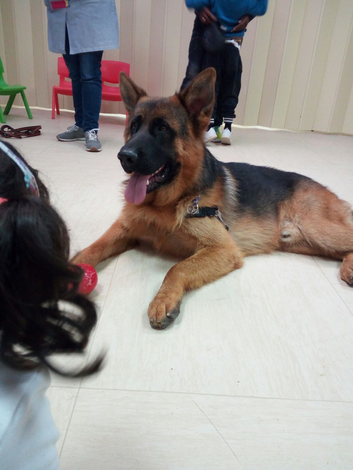 Mª Aroa Santana Sanz-4