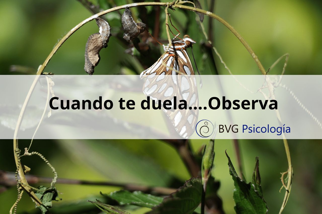 Beatriz Villagrasa García-22