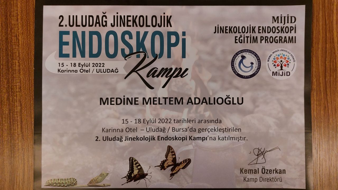 Medine Meltem Adalıoğlu-13