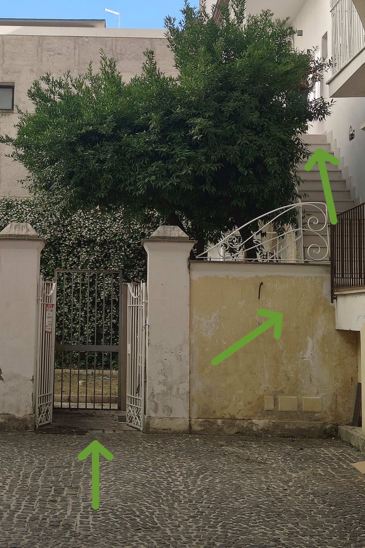 Simona Elena Marrone-4