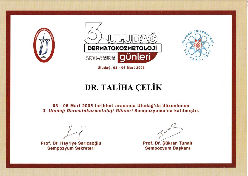 Taliha Çelik Çevirgen-8