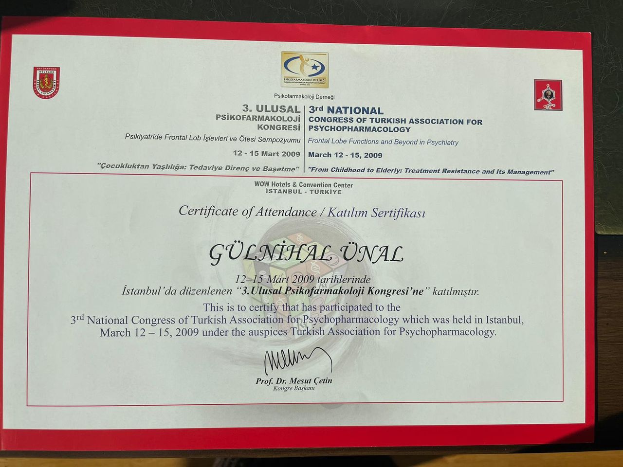 Gülnihal Gökçe Ünal-6