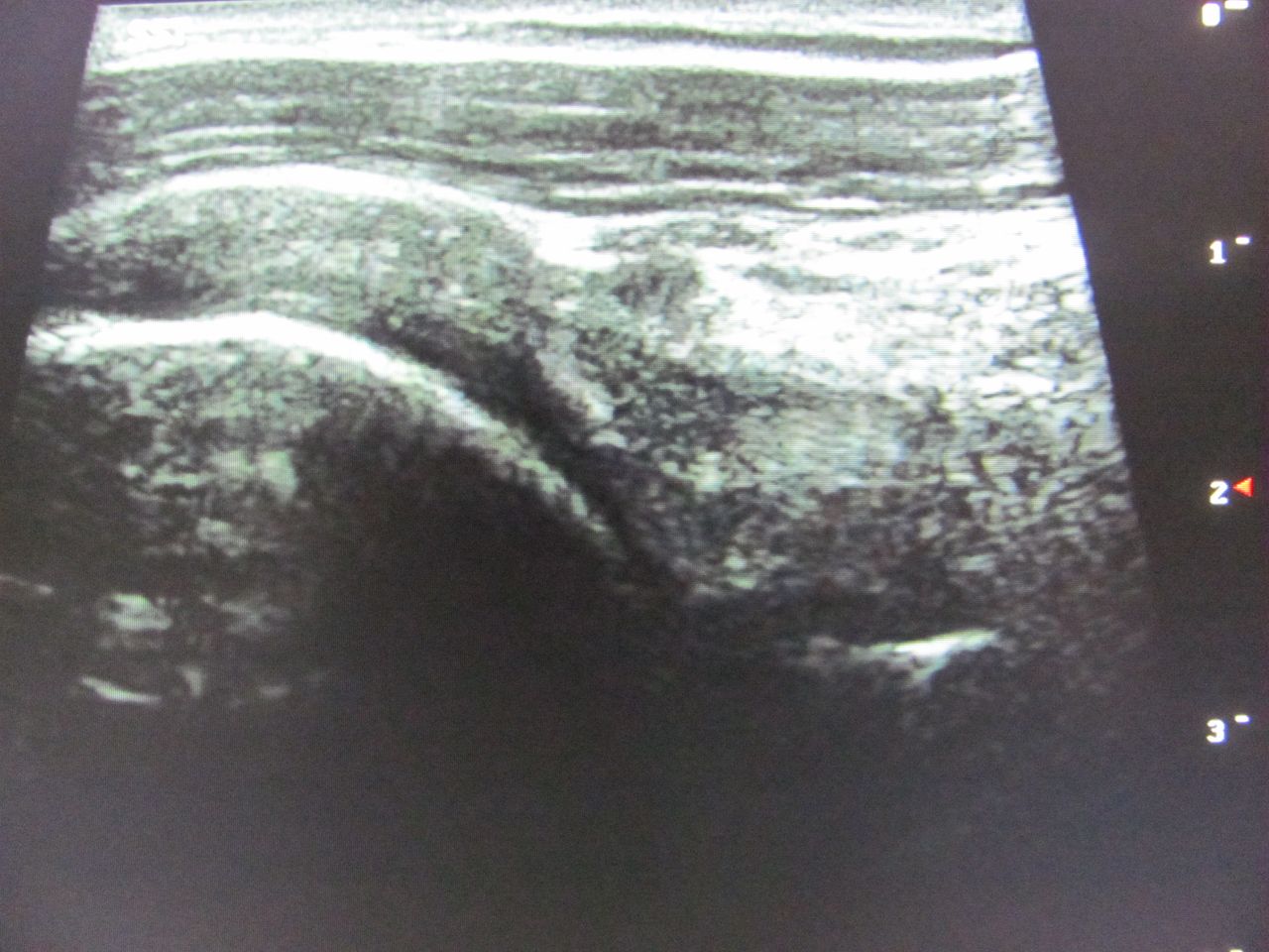 Agnieszka Skórzewska-0