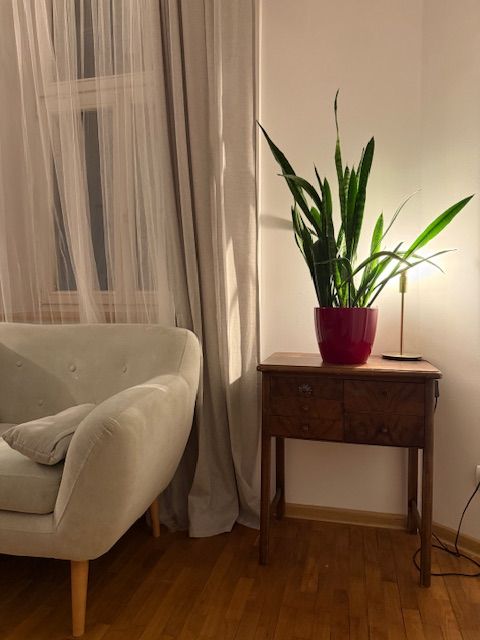 Ewelina Anuszkiewicz-5