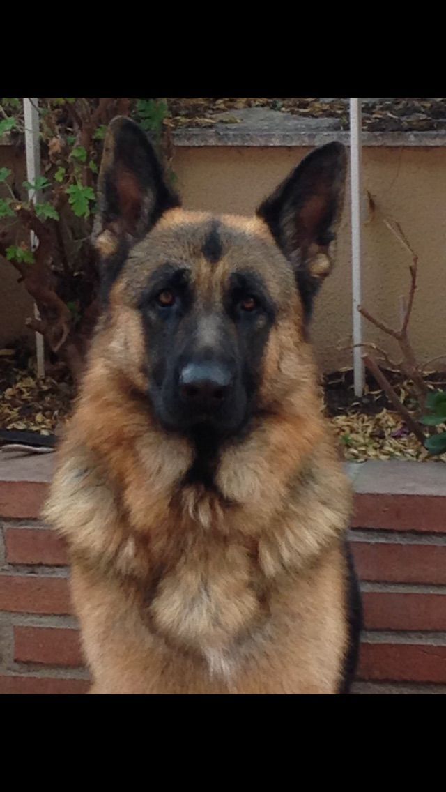 Mertxe Fernández Rodrigo-2