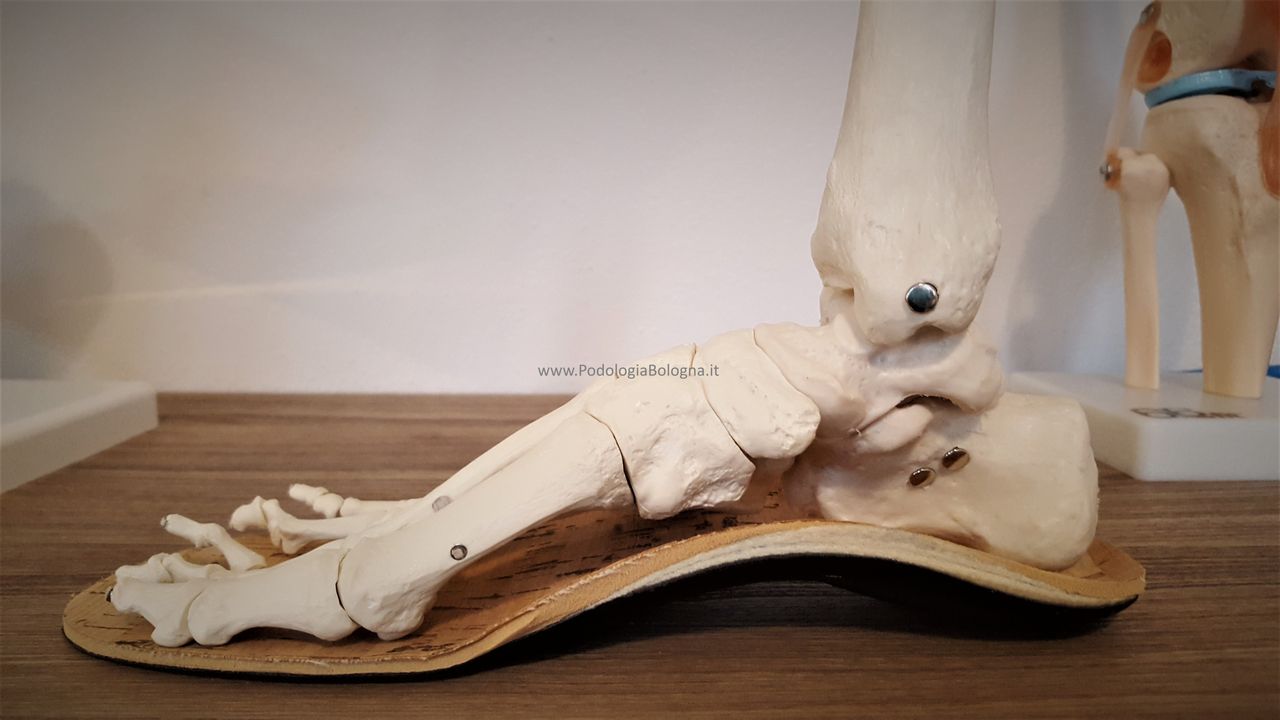 Lorenzo Fasanelli Menestrina-12