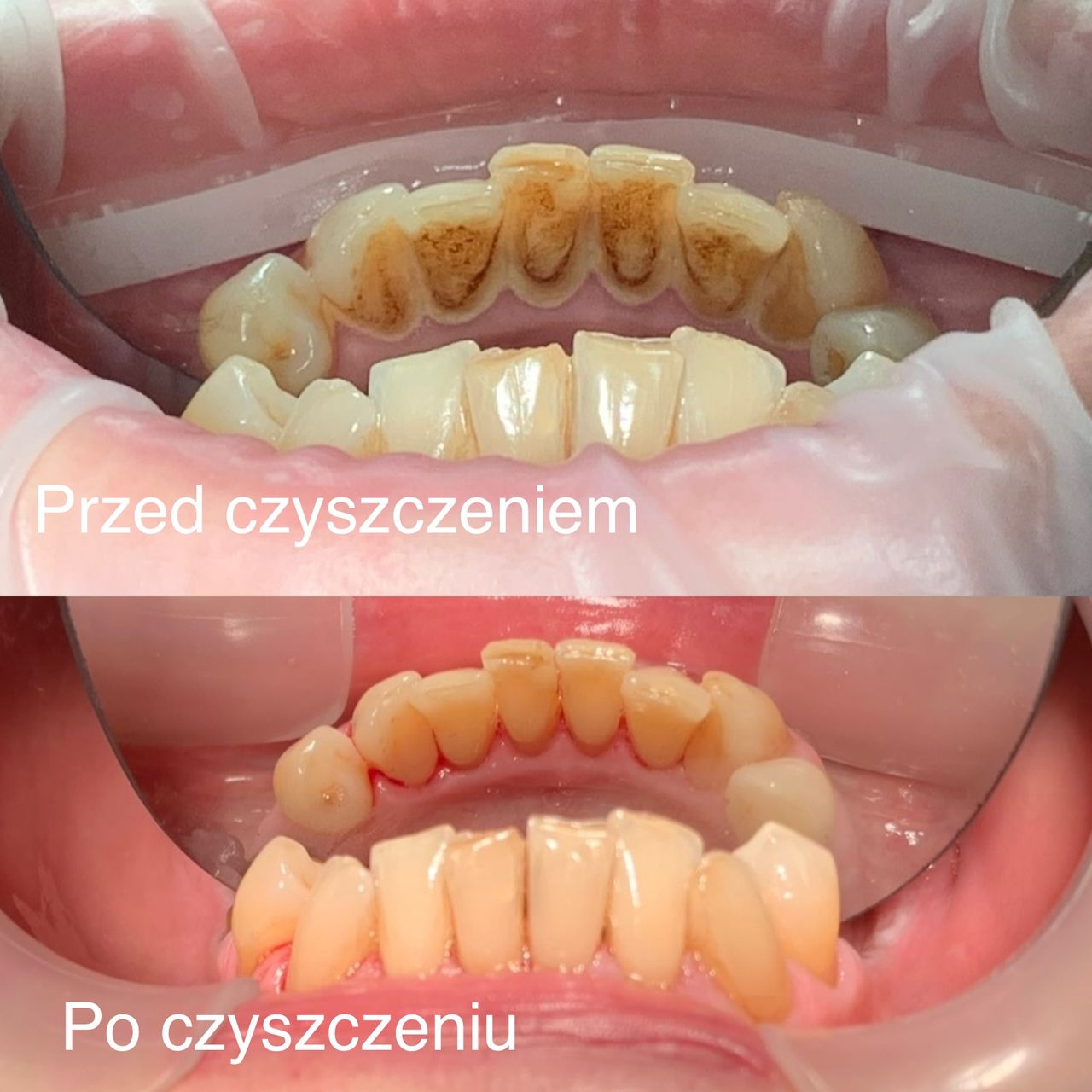 Małgorzata Olczak-4