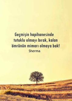 Ayşen Betül Okat-13