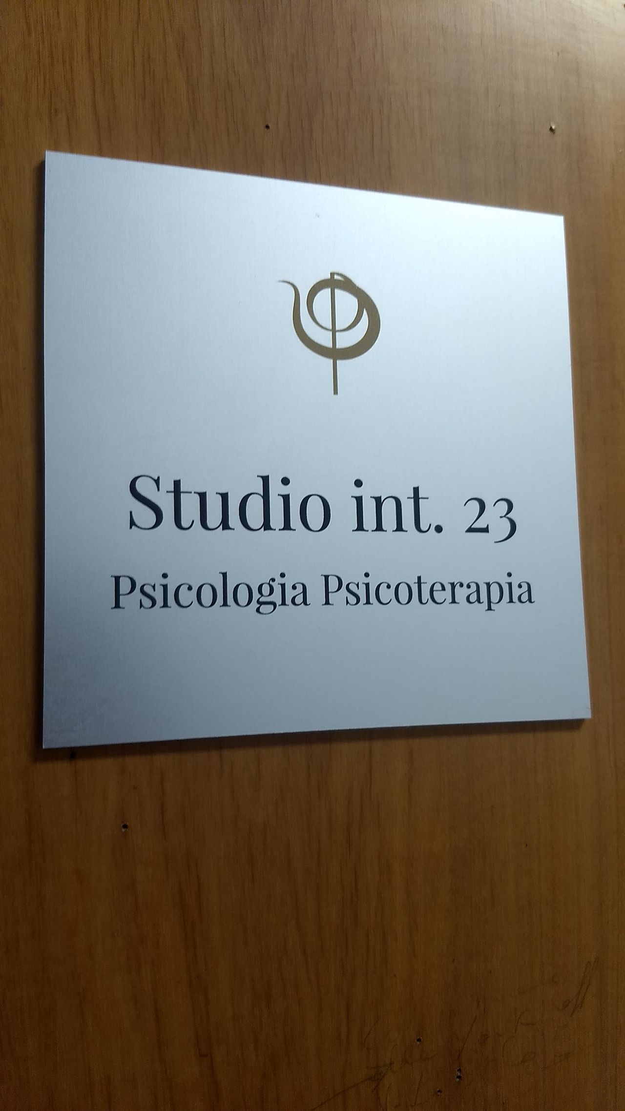 Maurizio C. Di Pasquale-4