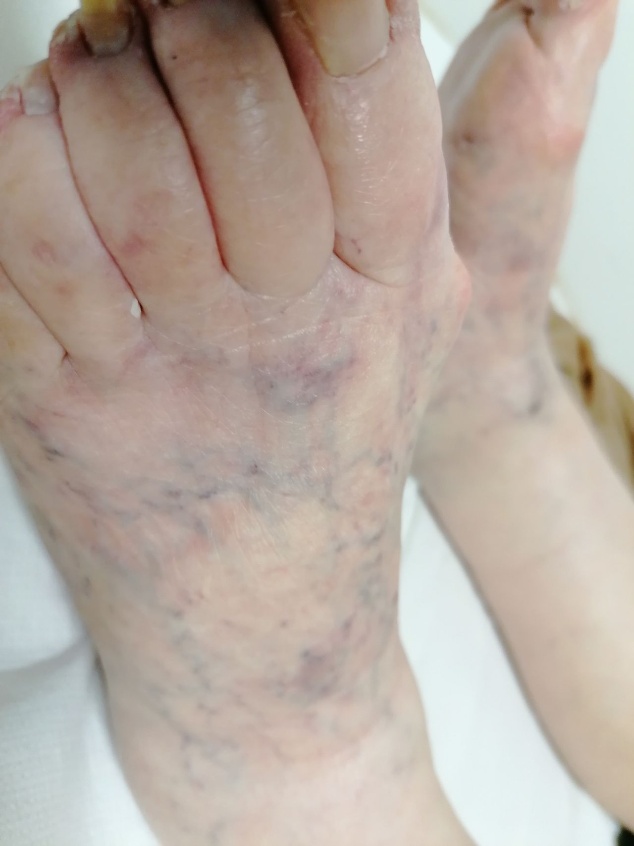 Kassandra Nicolosi-120