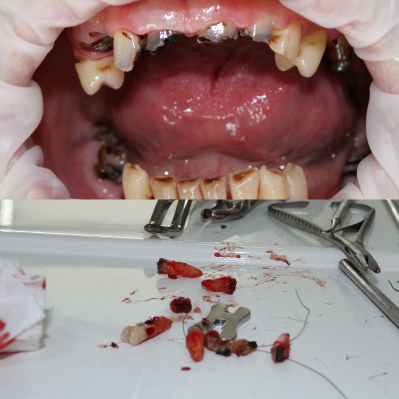 Katarzyna Czajkowska–Łasak-10