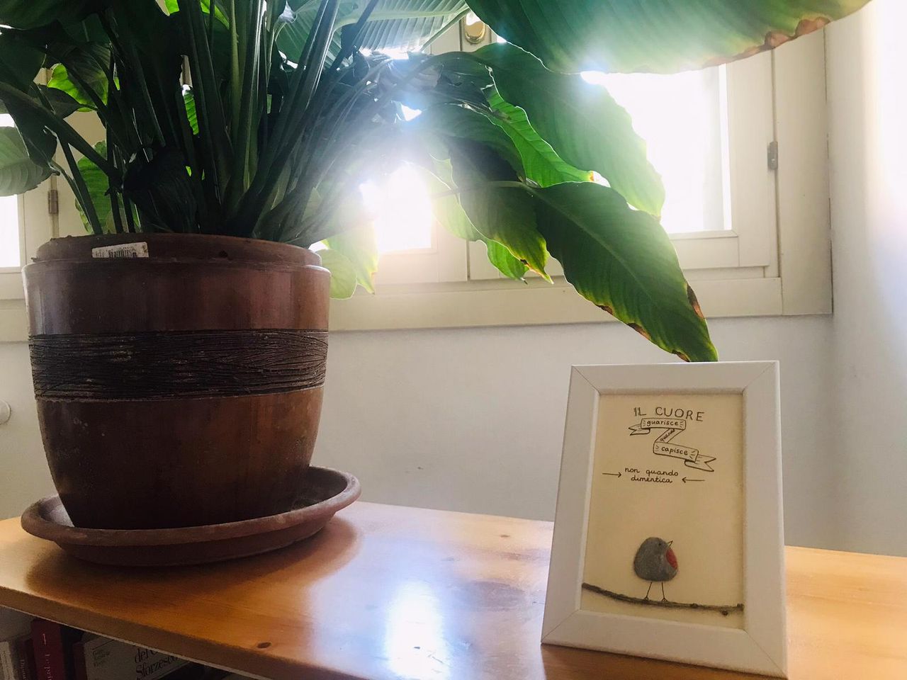 Deborah Invernizzi-2