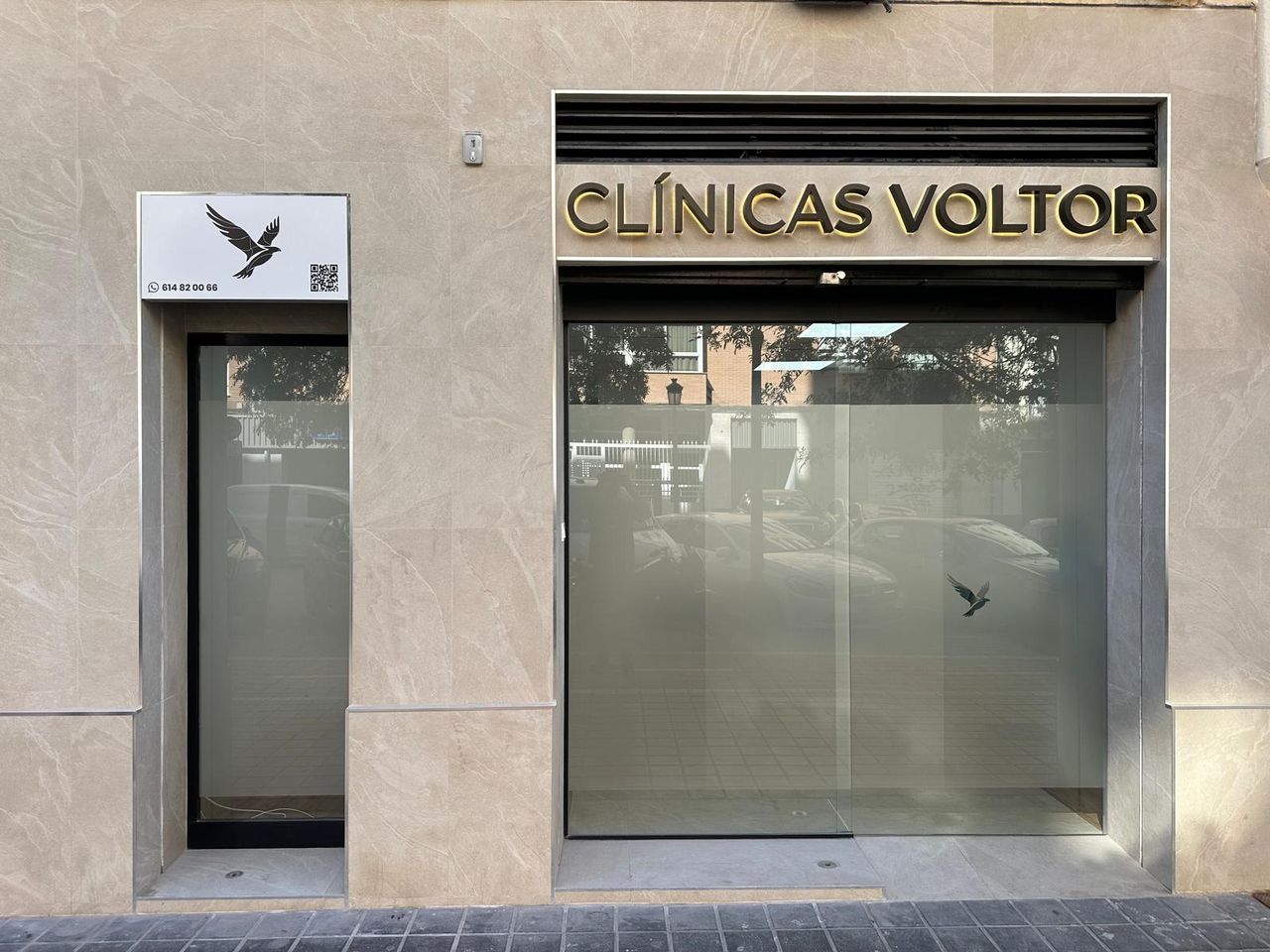 Beatriz Voltas Arribas-0