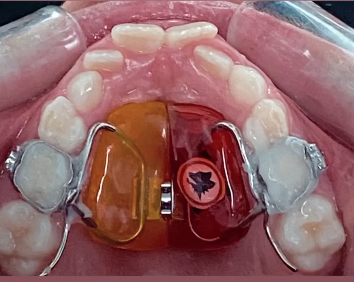 Maria Grazia Diaferia-46