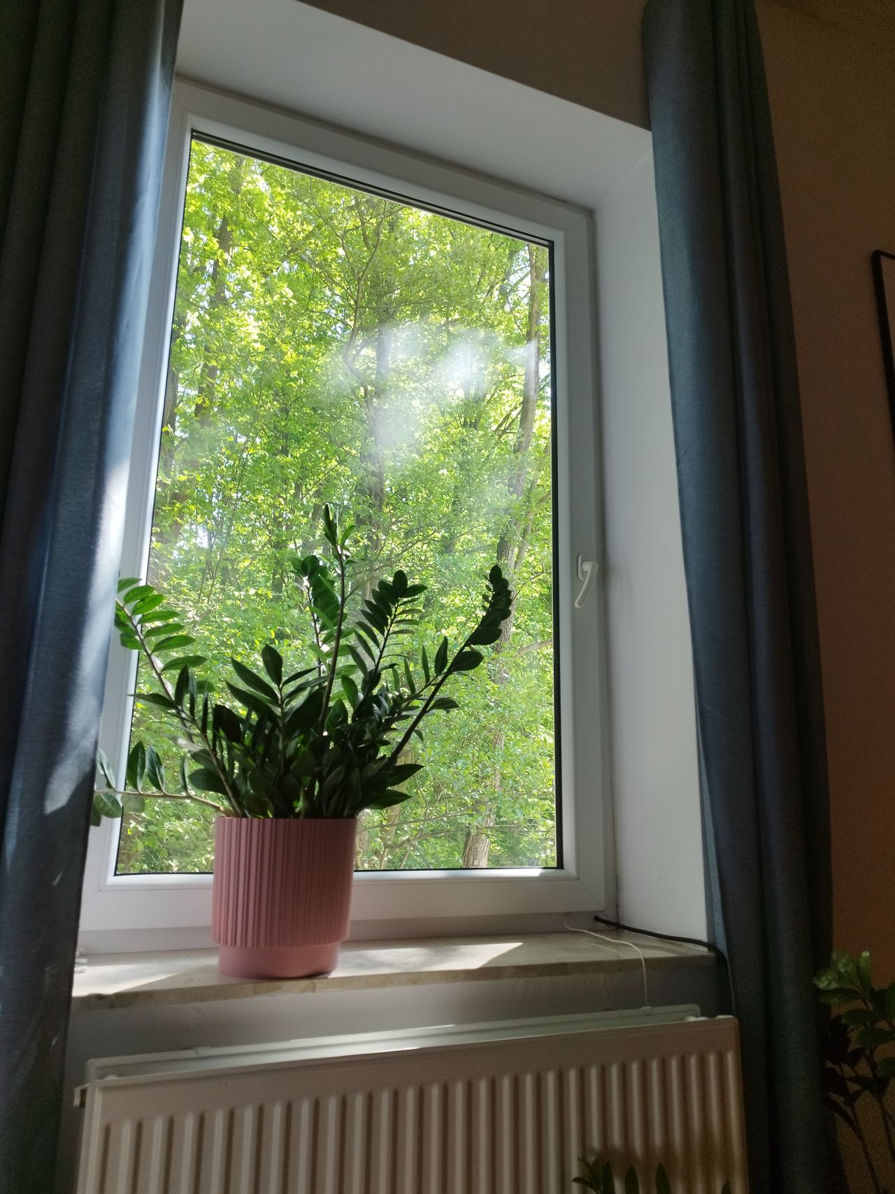 Paulina Gołębiewska-1