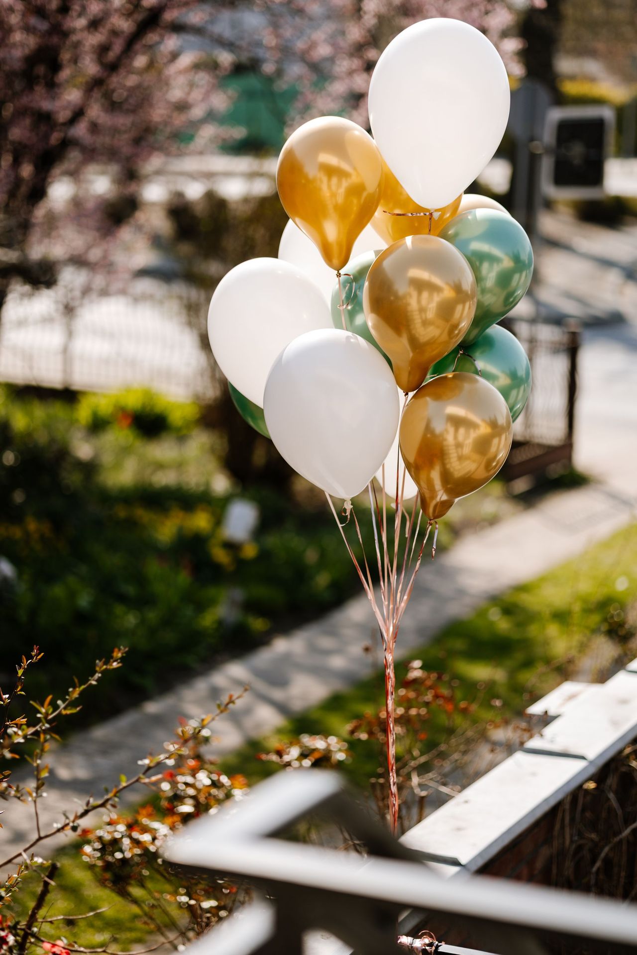 Magdalena Świerczyńska-15