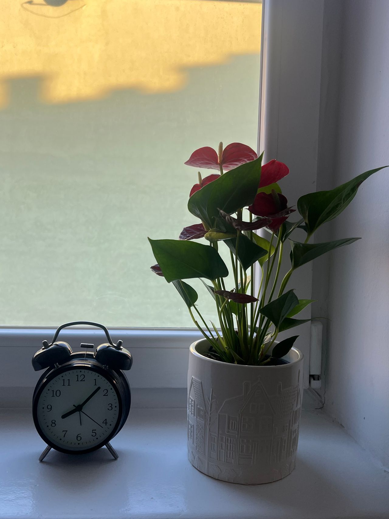 Magdalena Nocoń-Łysko-3