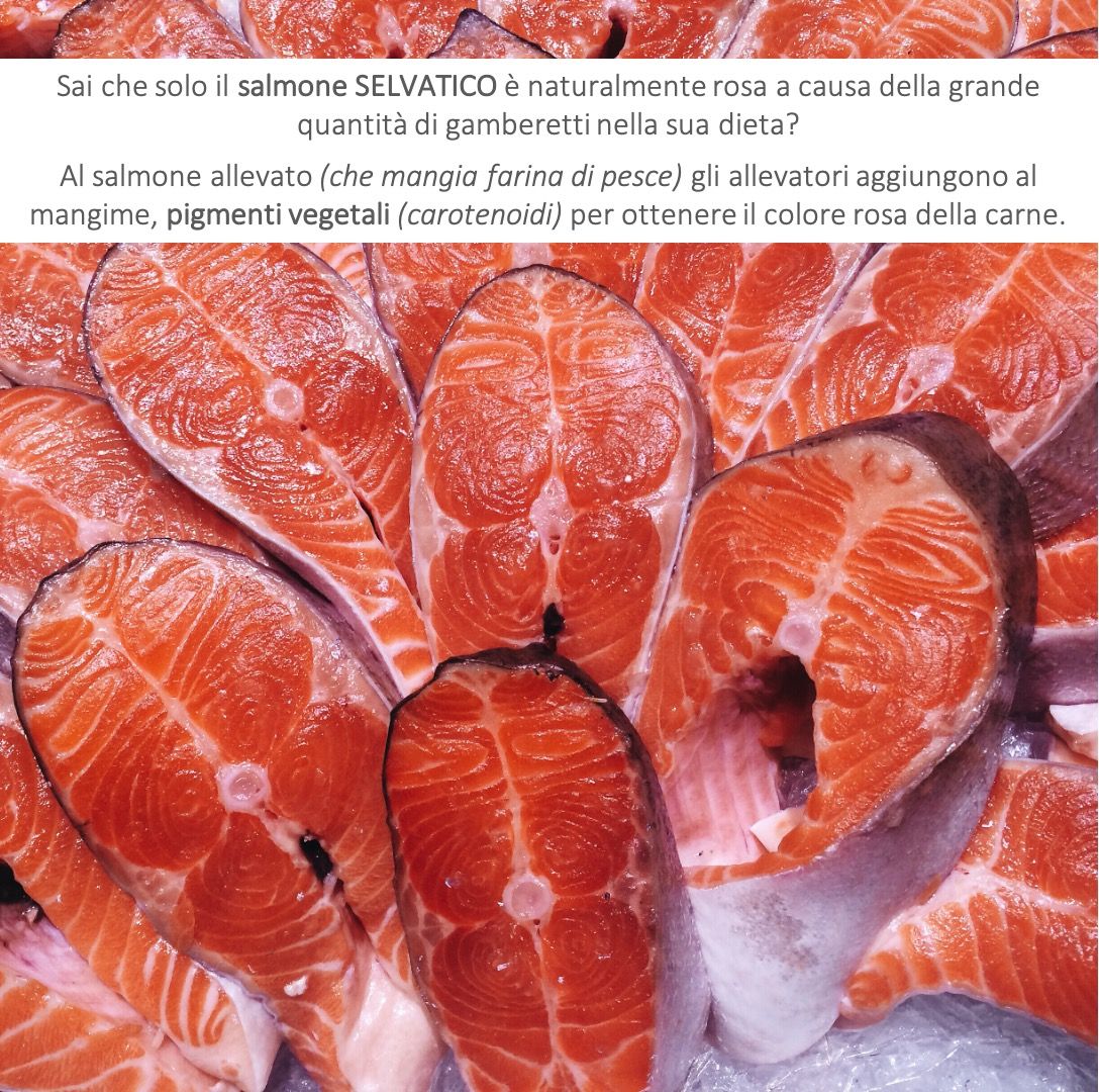 Ruggiero Francavilla-4