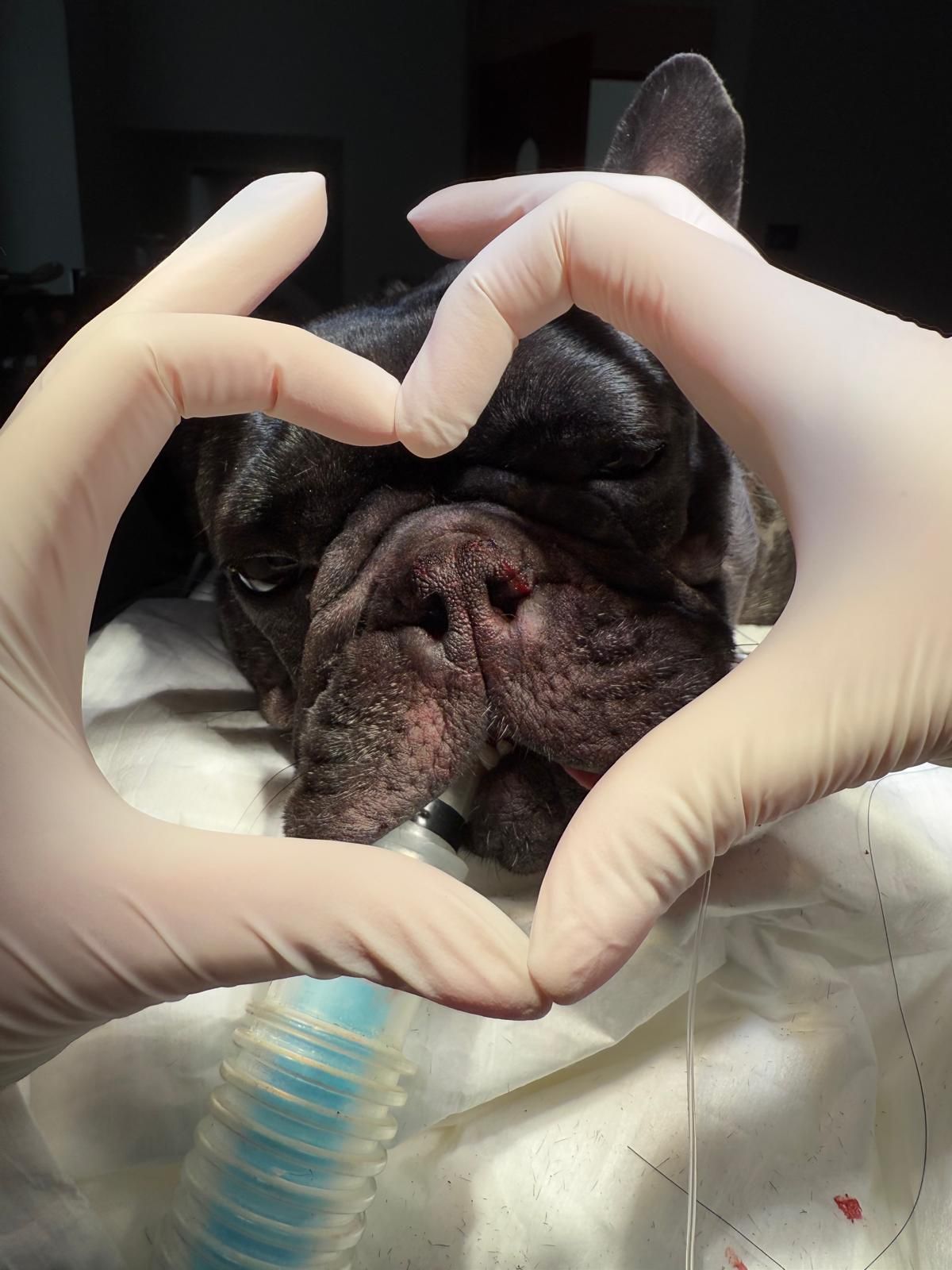 Radosław Fedaczyński-24