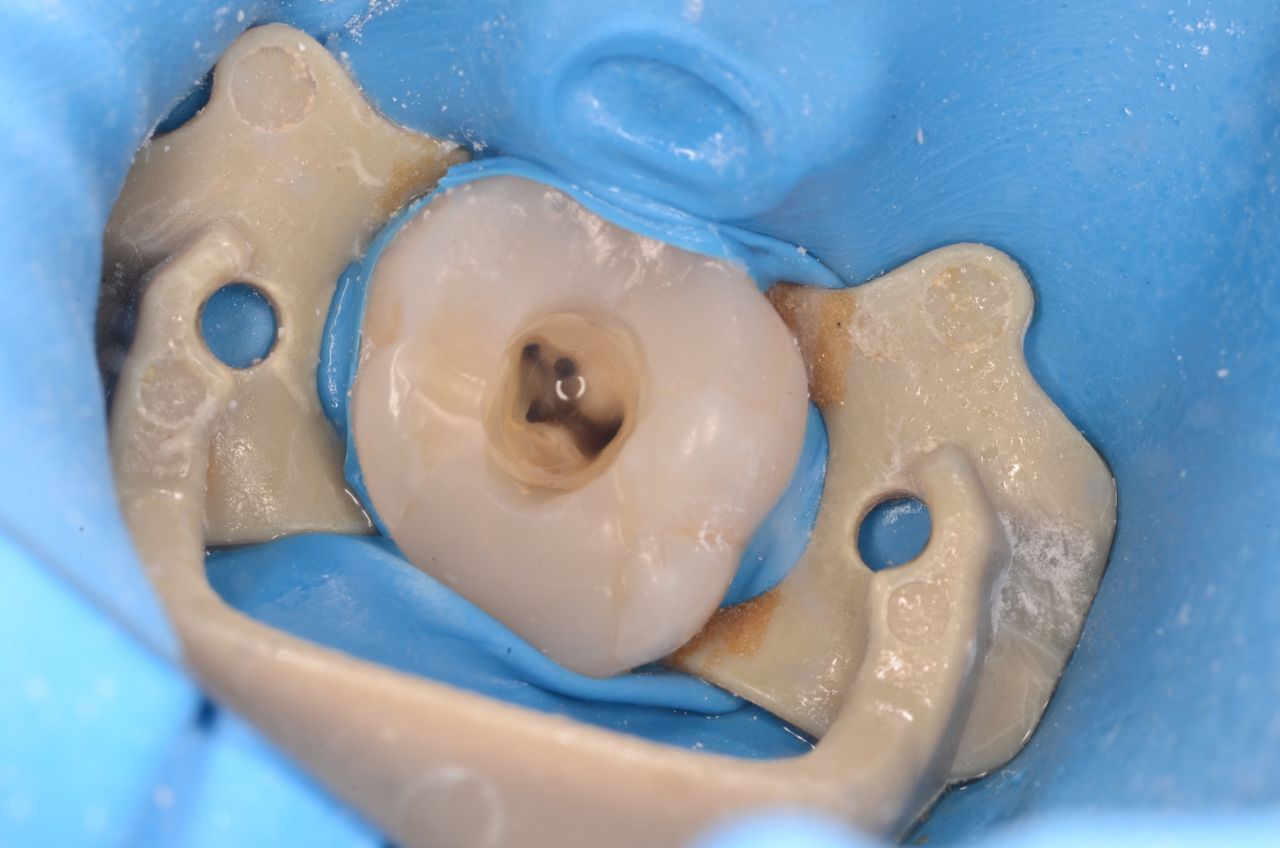 Bartosz Szczepanik-2