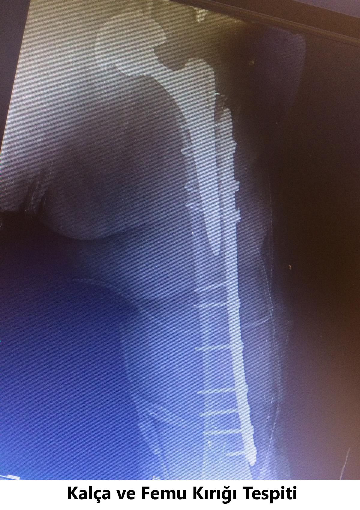 Javid M. Azarabadı-7