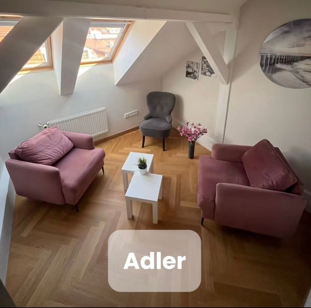 Kristýna Šorfová-12