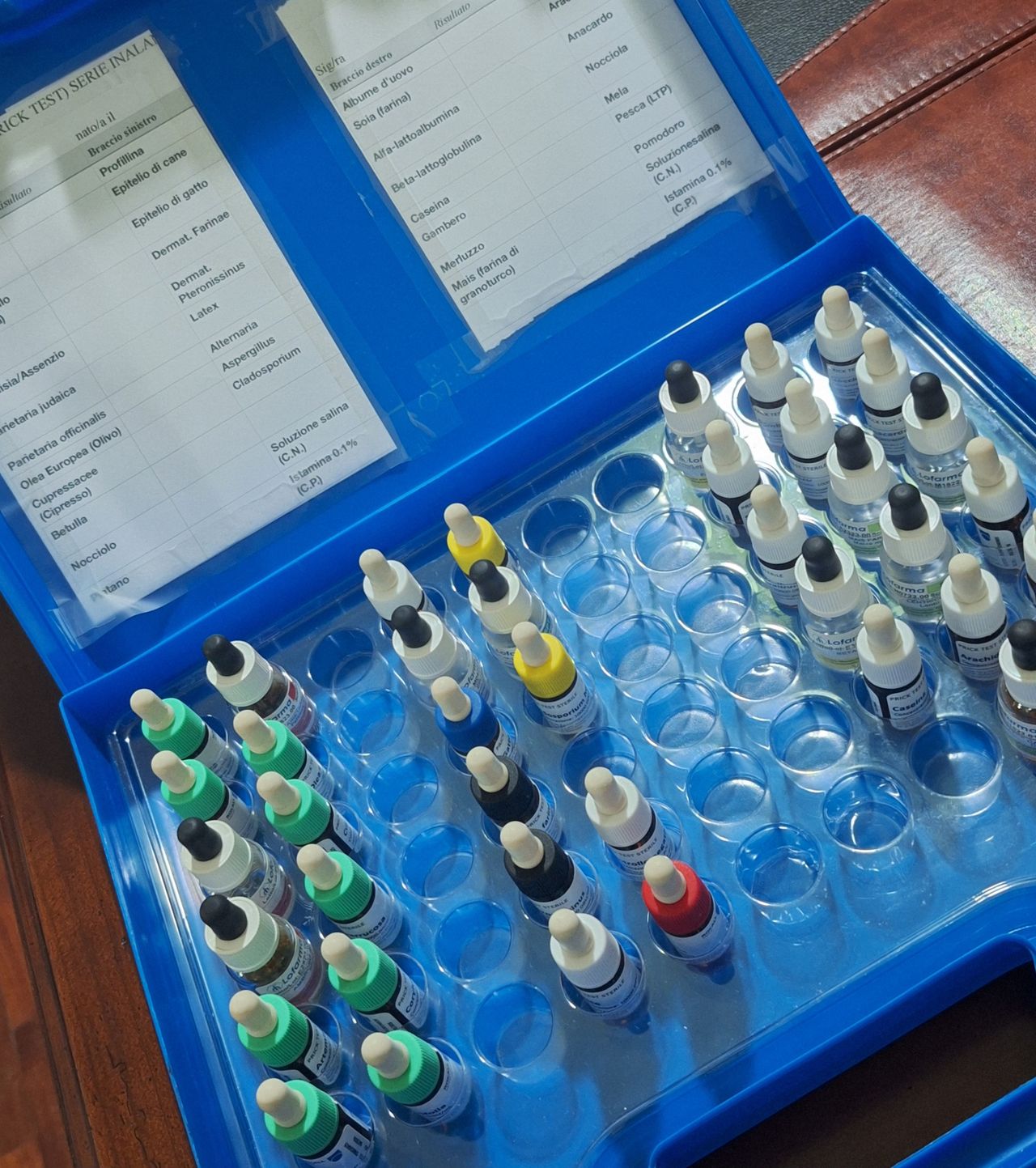 Caterina D'onofrio-0