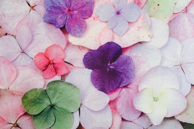 Elisabetta Zibetti-0