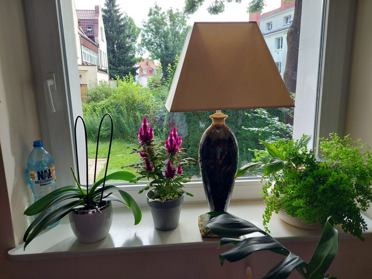 Marzenna Dąbrowska-3