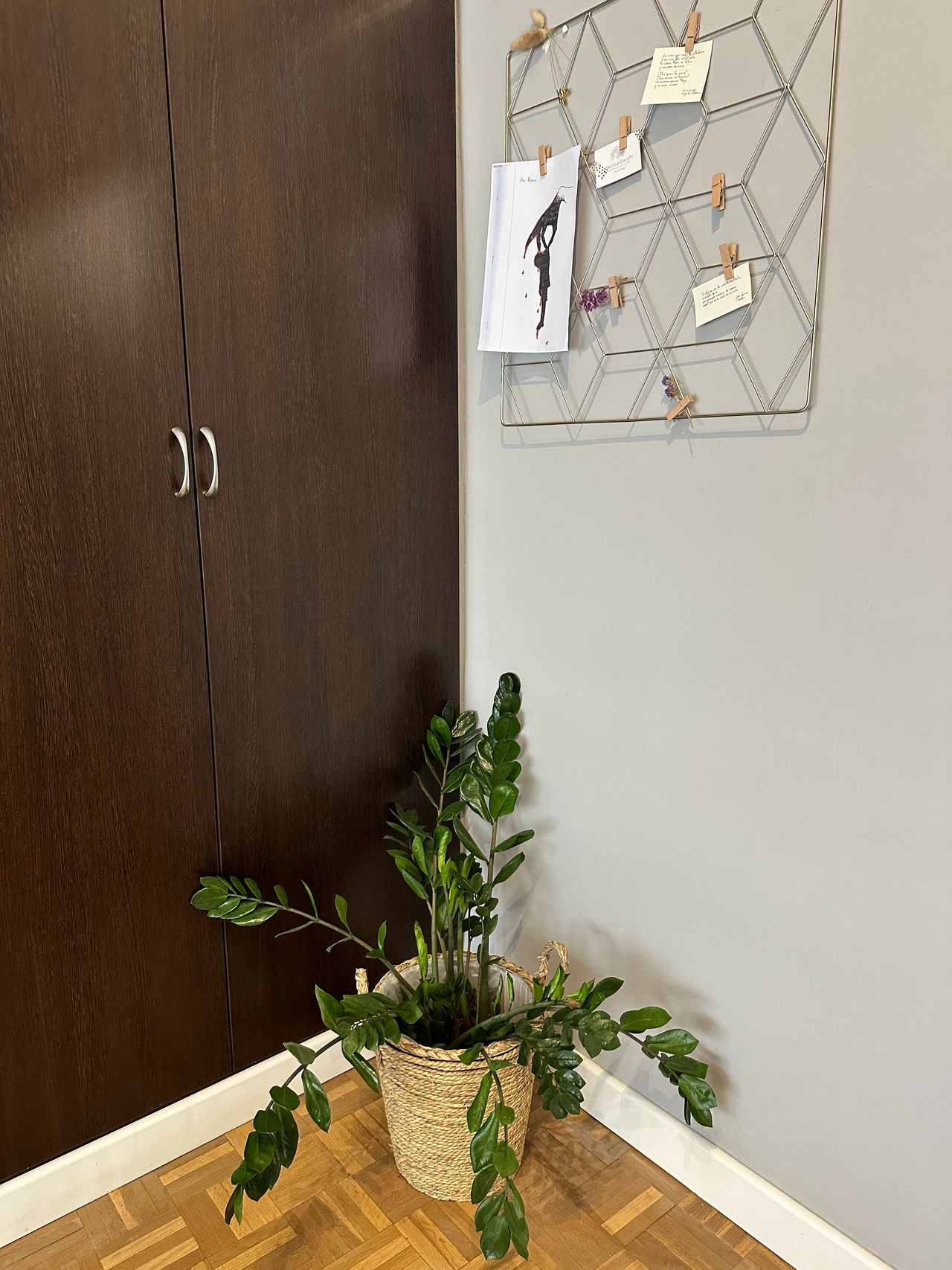 Delfina Caraffo Zanetta-2