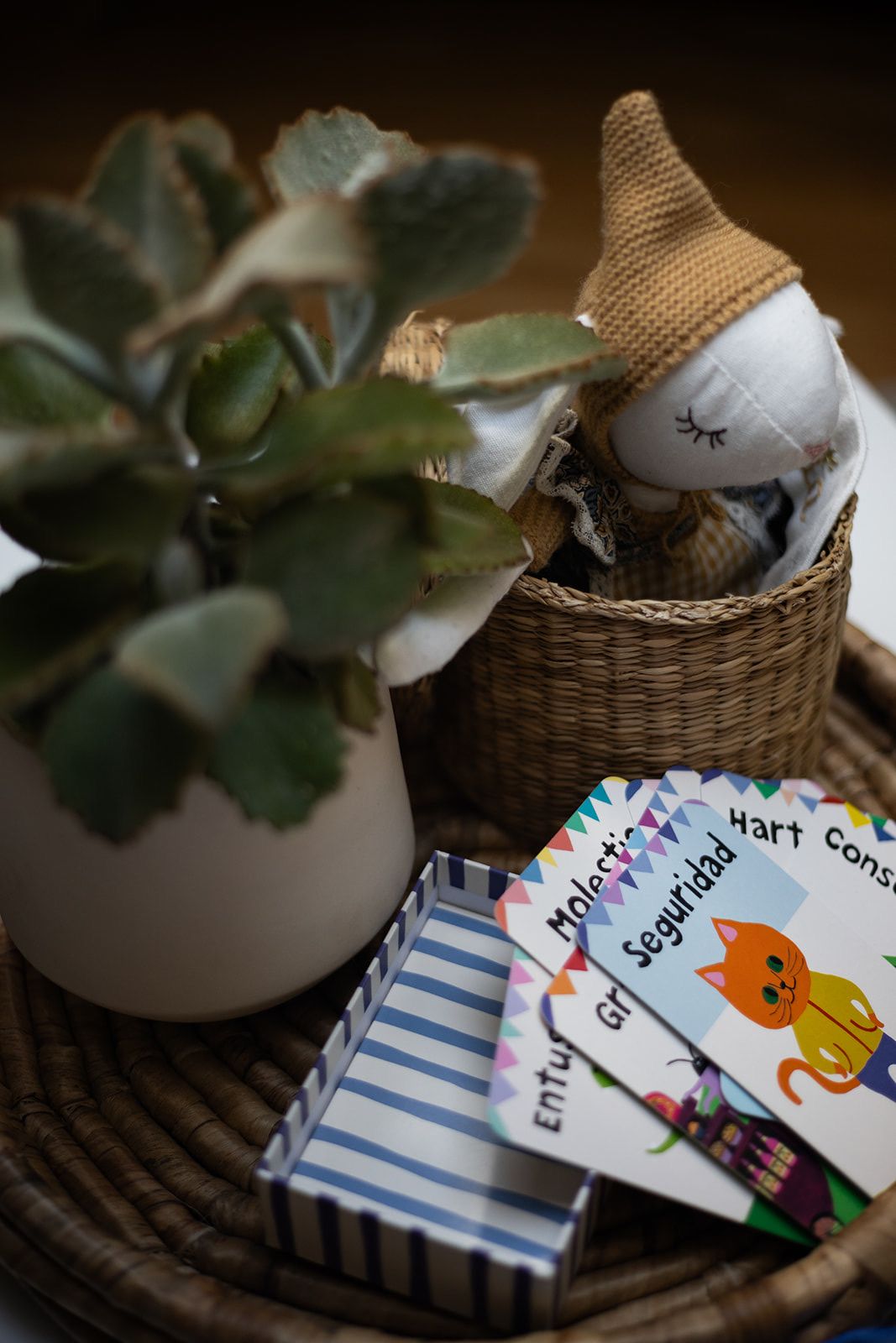 Sabela Fraga Fraga-17