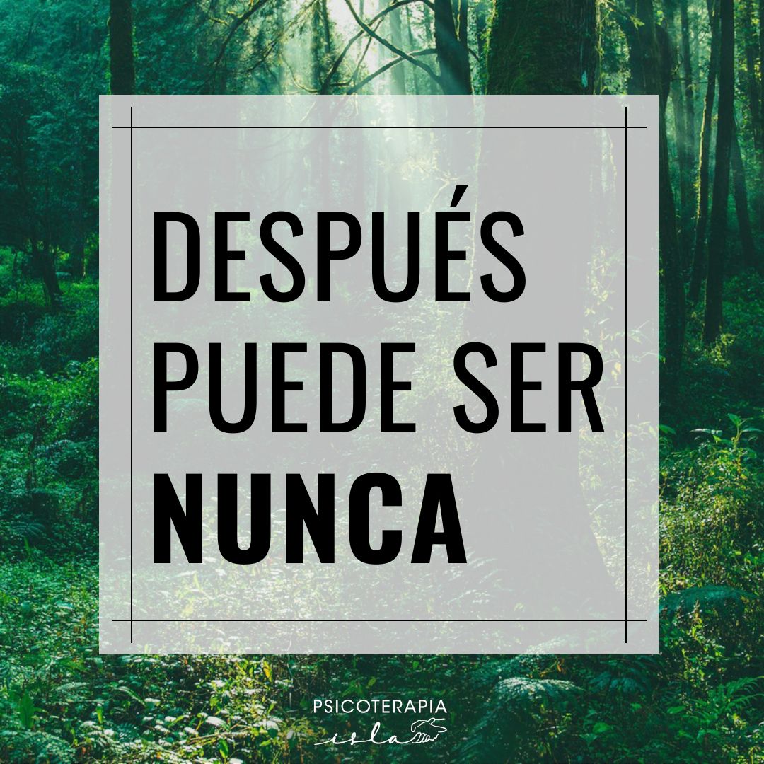 Patricia Gutiérrez Isla-31