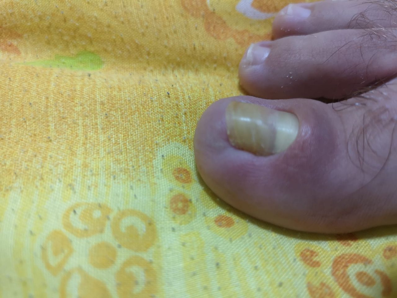 Kassandra Nicolosi-127