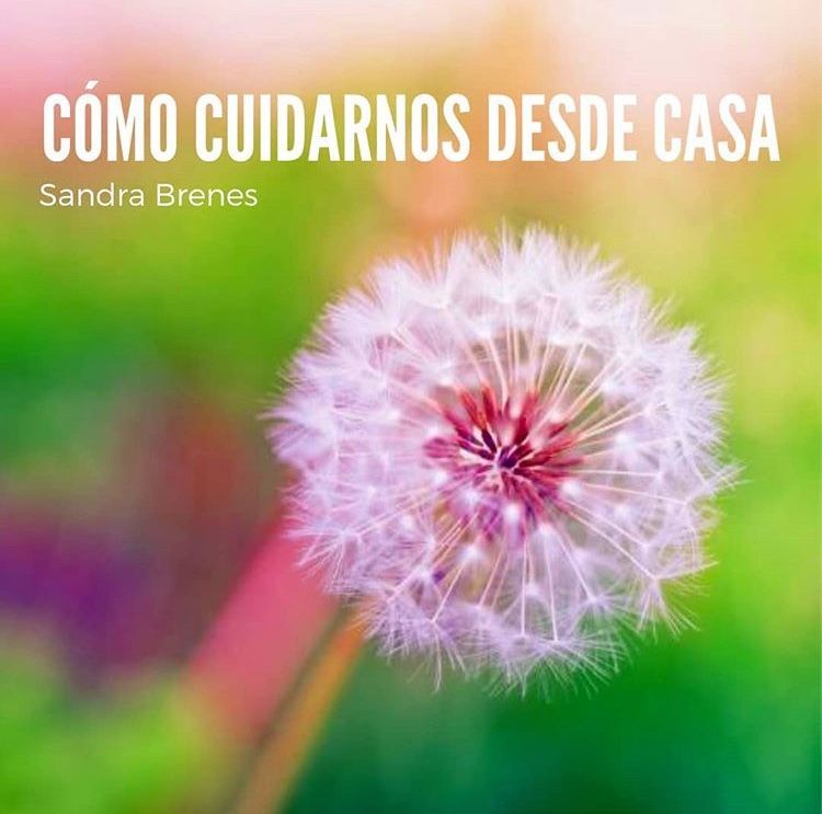 Sandra Brenes Reyes-3