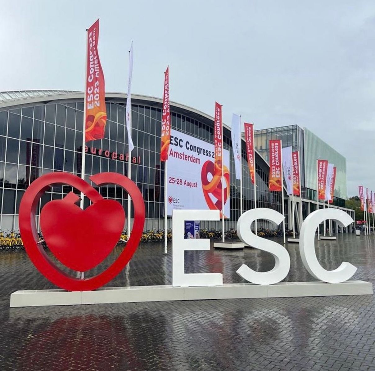 Iris Rodríguez Costoya-4