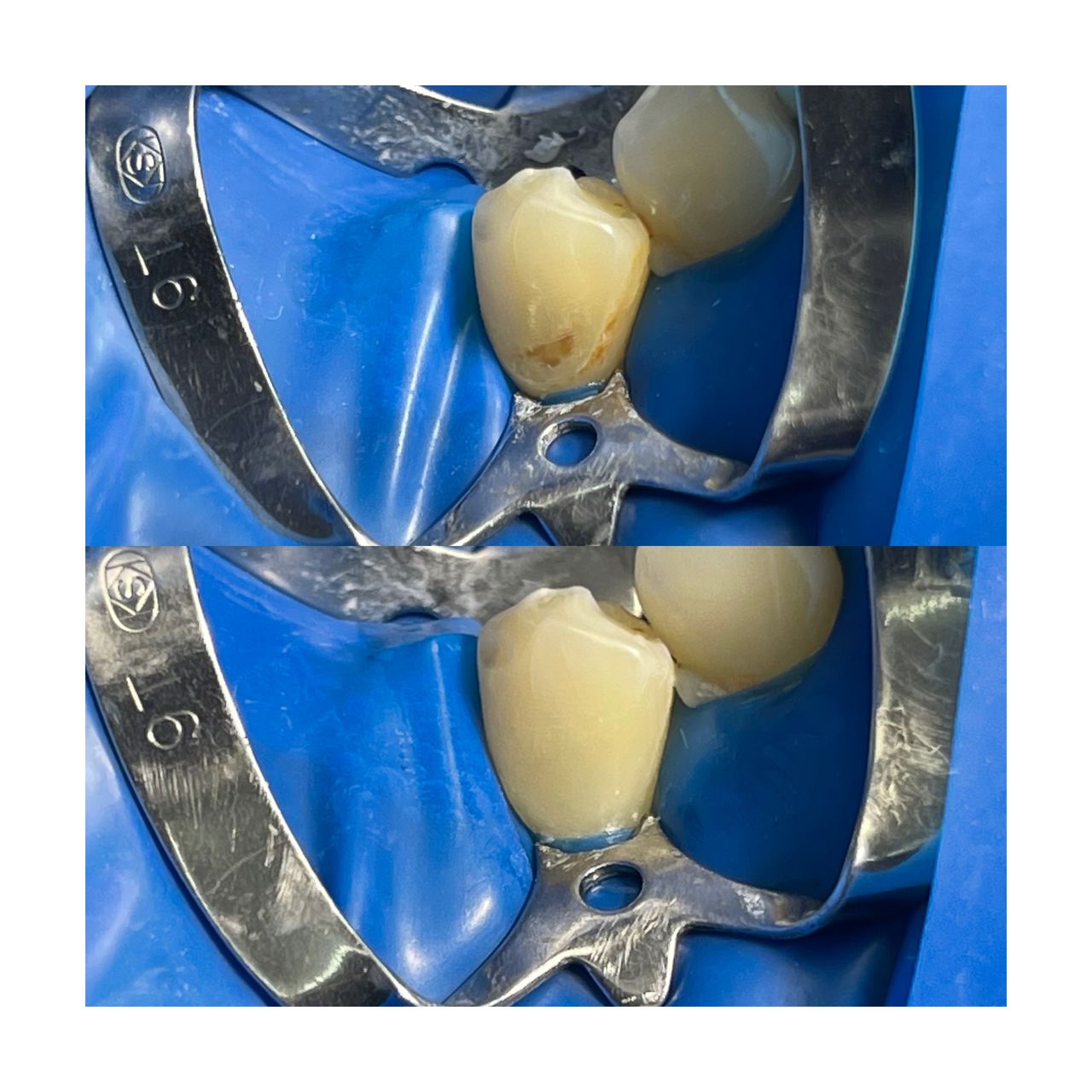 Kateryna Spravtseva-5