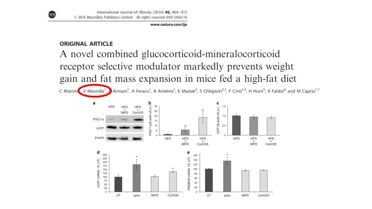 Vincenzo Marzolla-18