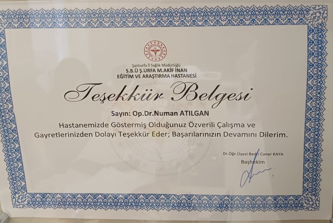 Numan Atılgan-8