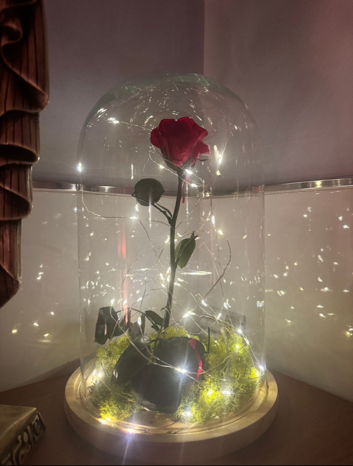 Verónica García Rubio-11