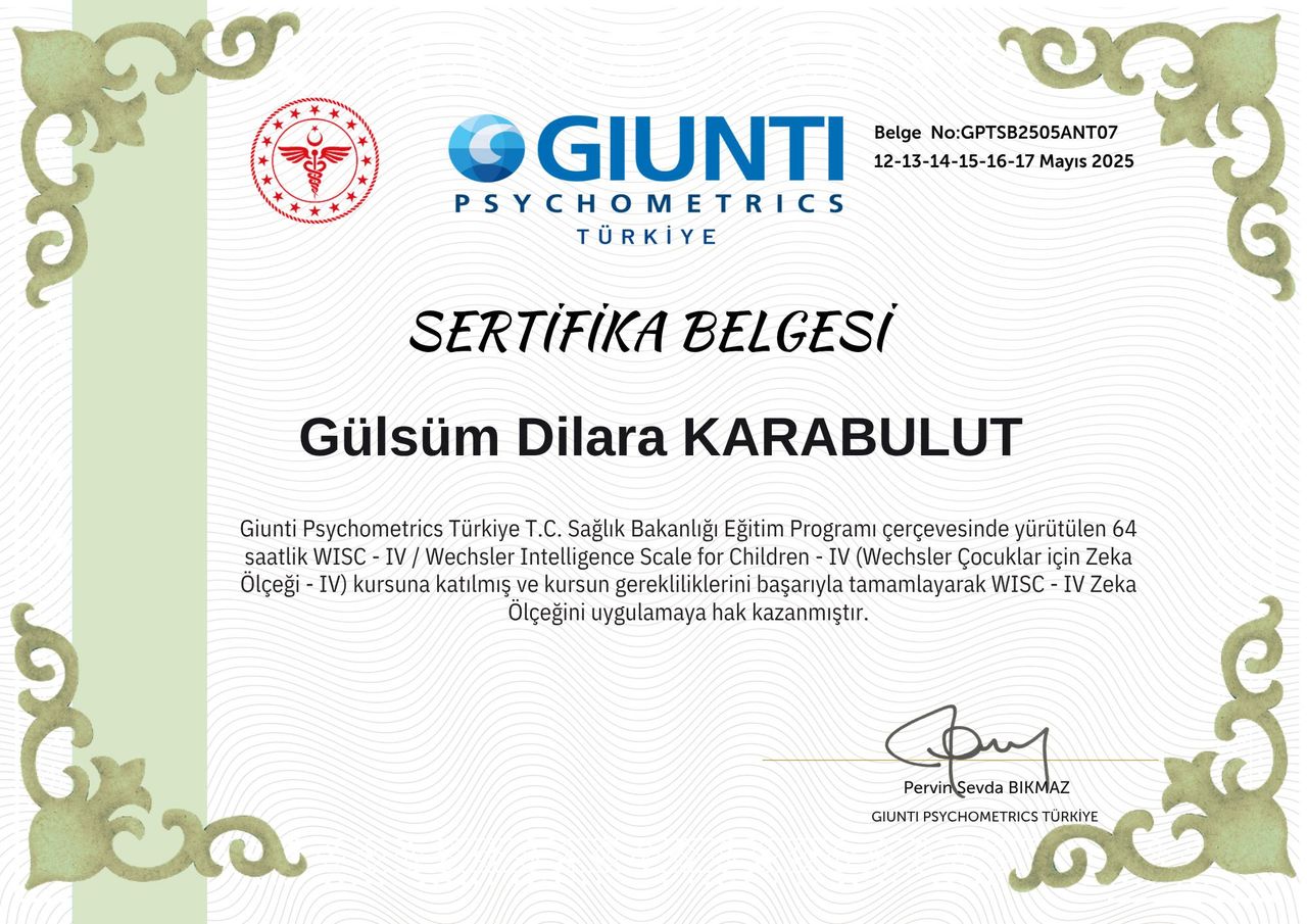 Gülsüm Dilara Karabulut-3
