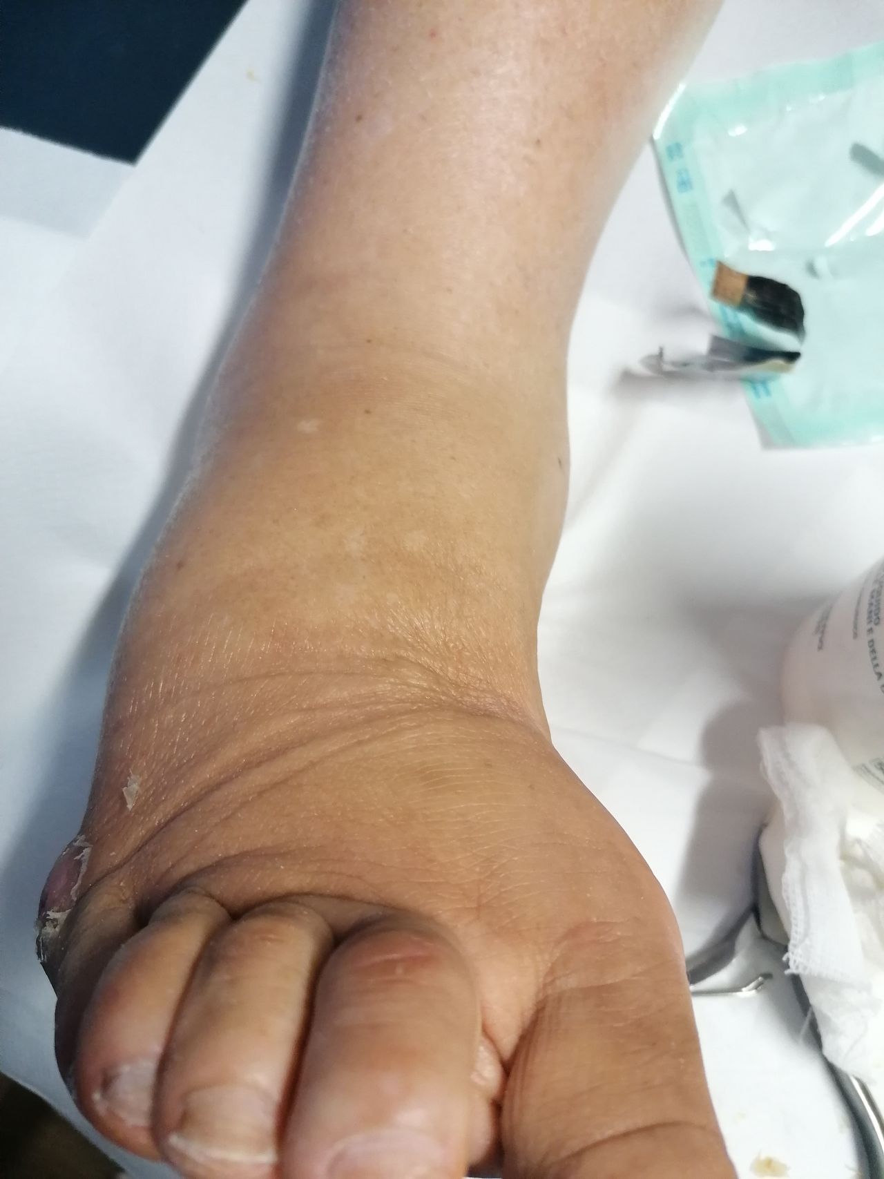 Kassandra Nicolosi-19