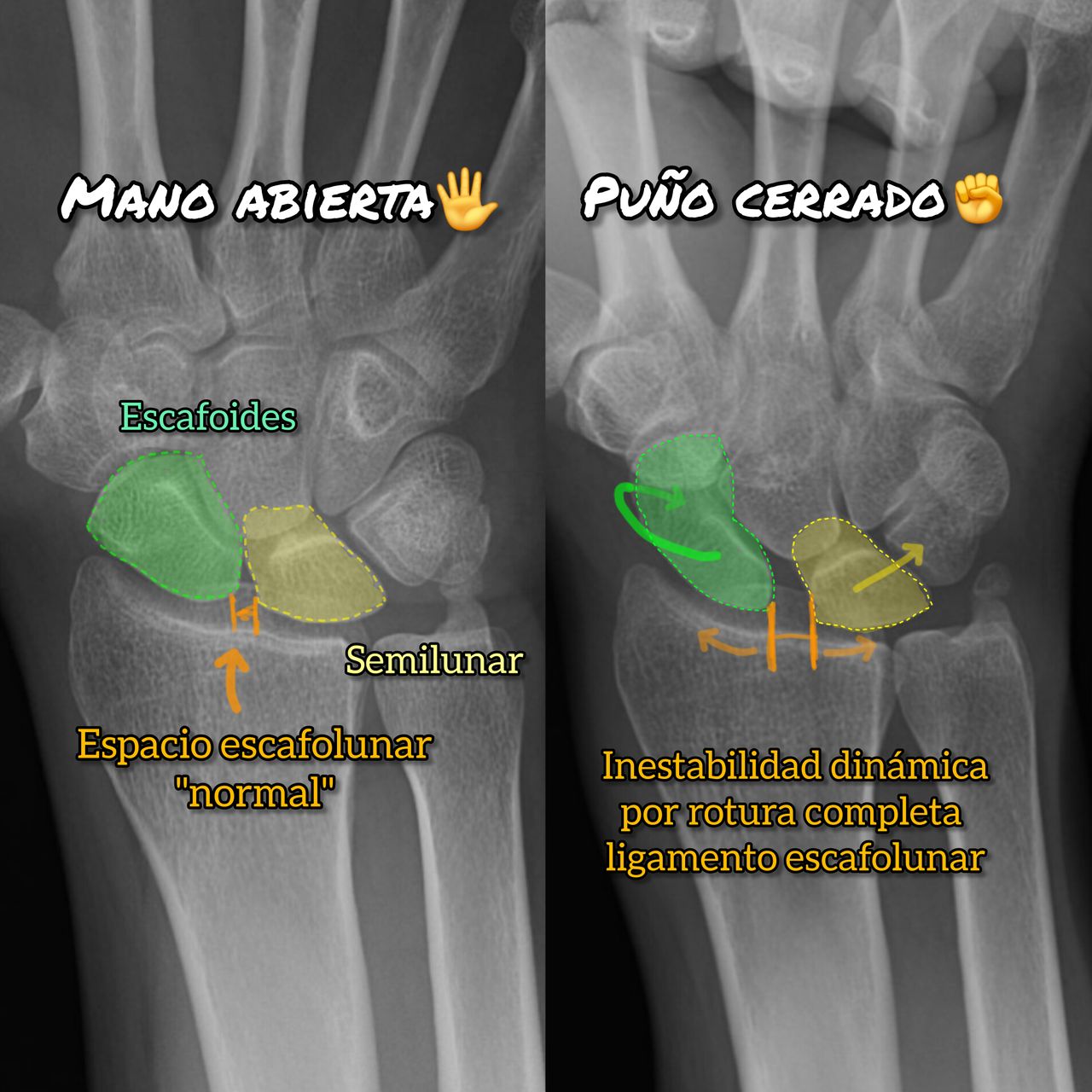 Derlis Sotelo García-17