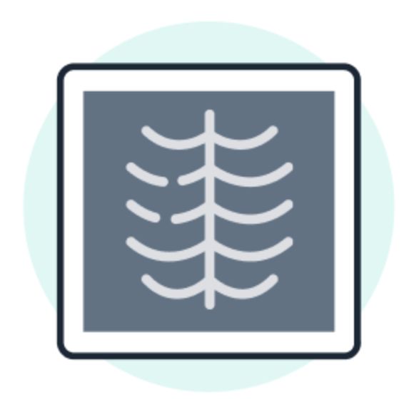 Vivo Nervión Rayos X-0