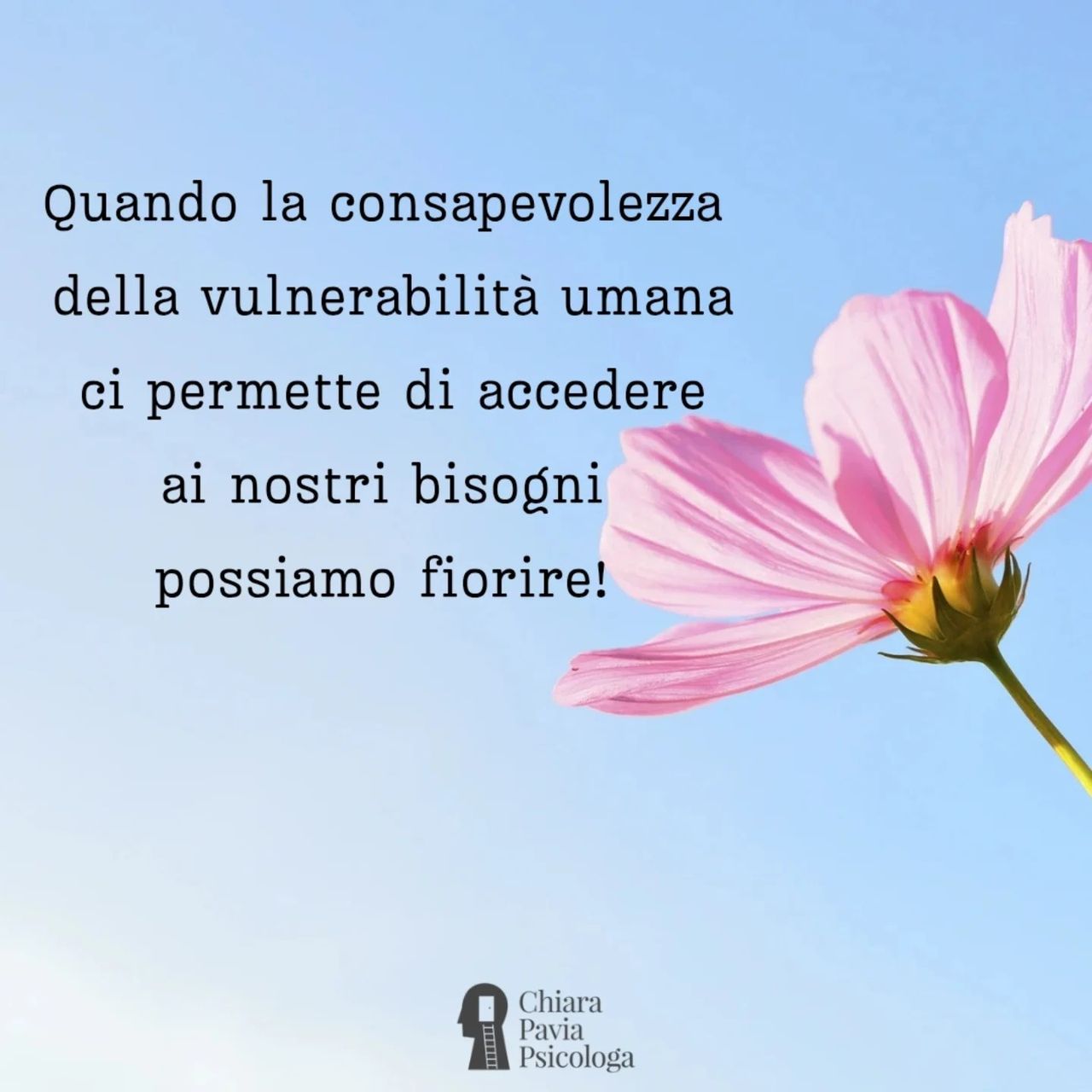 Chiara Pavia-1
