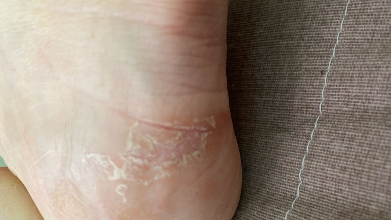 Kassandra Nicolosi-175