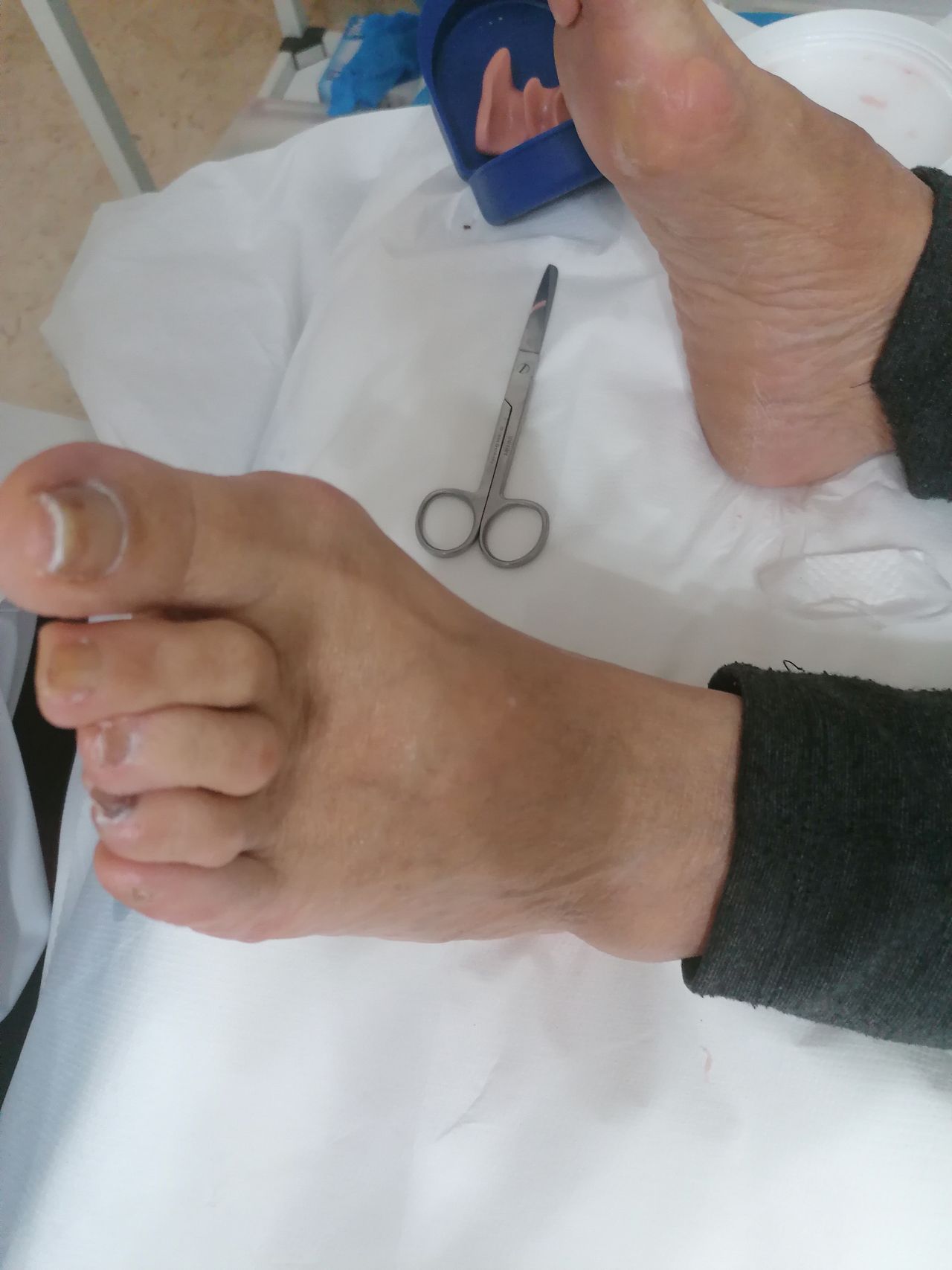 Kassandra Nicolosi-209