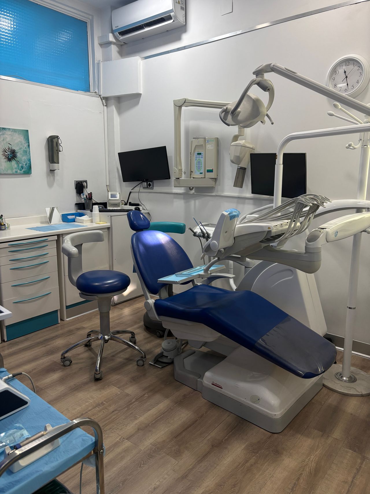 Alejandra Saez Garcia-6