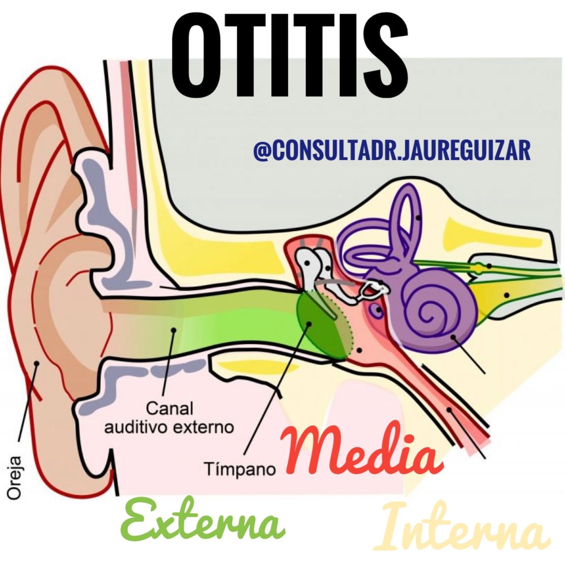 Enrique Jaureguizar Cervera-25