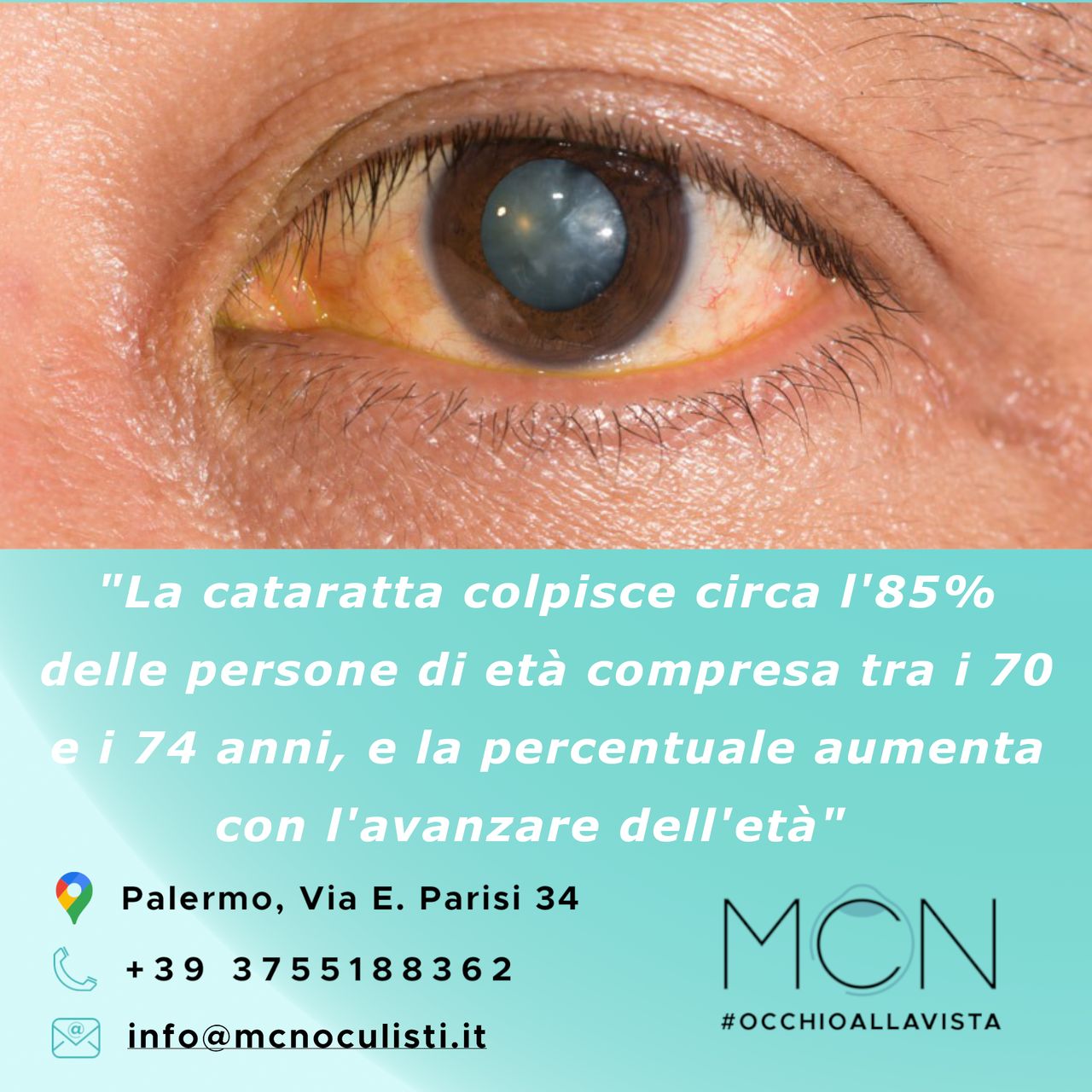 Massimo Castellucci-4