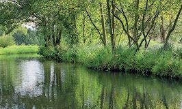 Katja Christine Schwenzer-Zimmerer-0